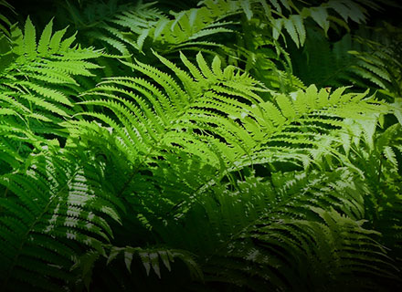 Ag亚洲集团(中国区)官方网站